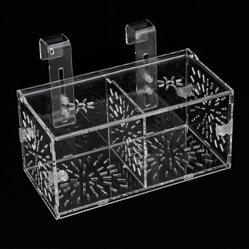 Fish Breeding Box, Transparent Acrylic Fish Isolation Box with Isolation Board, Fish Separator for Aquarium Fish Breeding, Shrimp Clownfish Guppy (20CM*10CM*10CM) - size: 20CM*10CM*10CM