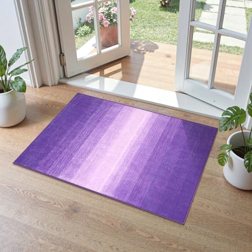 Wonnitar Modern Ombre Purple Rug 2x3, Small Washable Bathroom Rugs, Non-Slip Kitchen Rugs Throw Mat, Non-Shedding Gradient Soft Indoor Floor Carpet for Entryway Bedroom Bath (Purple, 2'x3') - color: Purple, size: 2' x 3' (Rectangular)