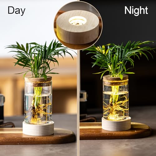 Glass Plant Propagation Stations, Propagation Vases for Plants with Ambient Light Base, Hydroponic Vase for Home & Office Windowsill Tabletop Decoration Desktop Vases for Living Room, Bedroom (2)