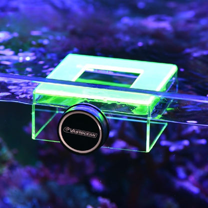 Strong Magnetic Acrylic Feeding Box Feeding Ring Aquarium Fish Food Fish Food Feeding Ring Feeding Ring (Greener) - color: greener