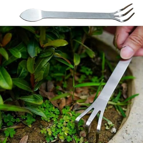 4 Pack Bonsai Rake Stainless Steel Bonsai Tree Root Rake Mini Kumade Bonsai Soil Cultivation Tool for Indoor Plants Root Loosening Houseplants Repotting House Plants in Decor Pots Seedling