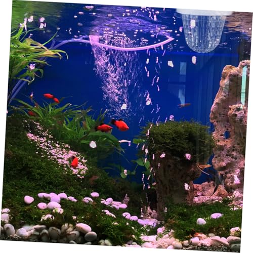 2pcs Fish Breeding Box Floating Hatchery Incubator for Guppies Efficient Isolation for Fry and Mother Fish Versatile Aquarium Setup