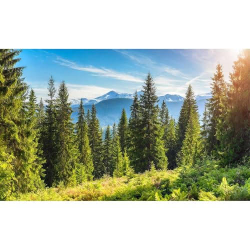 Majestic Mountain Forest Aquarium Background Scenic Evergreen spruce coniferous trees Fish Tank Background High mountains Pine Tree Terrarium Backgrounds Green Meadows Reptile Tank Backgrounds 24x16in - color: Jade Green, size: 24(W)x16(H)in