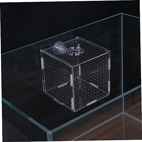 LIOOBO Modern Fish Tank Isolation Box Acrylic Fish Breeding Tank for Betta Guppy Suction Cups and Divider