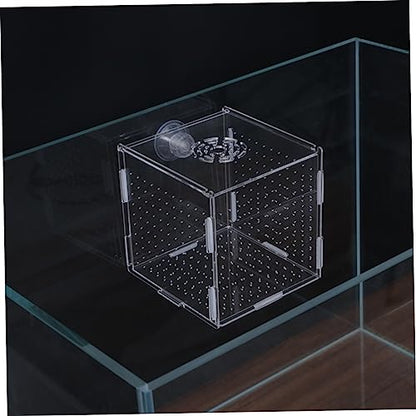 LIOOBO Modern Fish Tank Isolation Box Acrylic Fish Breeding Tank for Betta Guppy Suction Cups and Divider