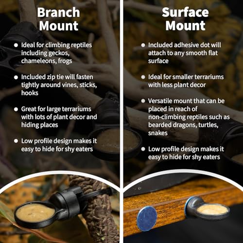 Pangea Microdish Kit for Crested Gecko Food 2.75in x 2.6in (L Branch Mount) | Small Dish for Anoles and other Reptiles, Zip Tie Attachment Water Bowl - size: L Branch Mount