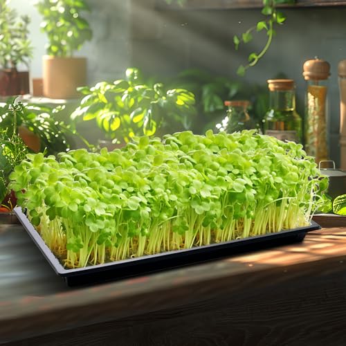 RooTrimmer Growing Trays, 1020 Plant Nursery Trays Heavy Duty Seed Starter Flat Seedling Tray for 72/128 Cell Plug Tray Transplant Growing Microgreens (21"×11", 10 Pack, 1.6" Deep, Without Holes) - size: TD538-10P-Black