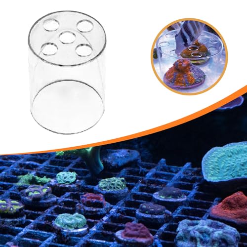 Coral Feeder Cover,Coral Feeding Breeding Protection Cover, Anti Predation for Aquarium Transparent,Protector Guard, S - size: S