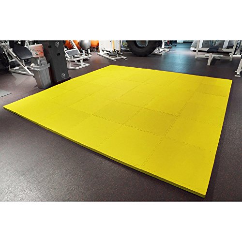 Meister X-Thick 1.5" Interlocking EVA Foam Mats - YL - 10 Tiles (40 Sqft) | Extra-thick 2X cushioning w/ anti-slip grip. 2' x 2' puzzle mats for wrestling, MMA, gymnastics, home gyms and play areas - color: Yellow, size: 10 Tiles (40 Sqft)