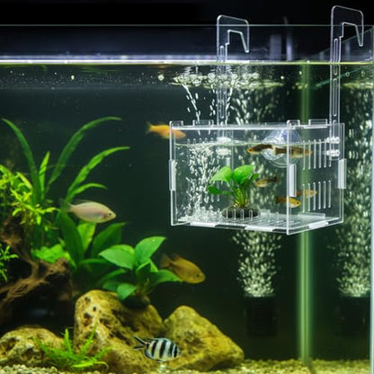Aquarium Breeder Box, Aquarium Breeder Box, Clear Acrylic Fish Breeding with Adjustable Hooks & Suction Cups for Safe Fry Isolation, Fish Tank Divider (15x10x10cm)