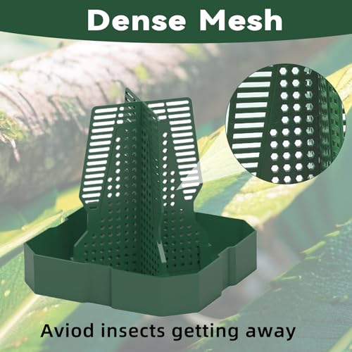 Chameleon Feeder Bearded Dragon Feeder for Mounted Insect（Medium） | Plastic,Anti-Escape,Crested Gecko Tank Accessories,with Rope and Tweezers,for Lizard Bearded Dragon Gecko Frog - size: Medium