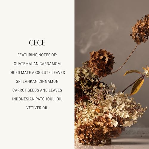 Homecourt by Courteney Cox Surface Cleaner, Cece, 16 fl oz | All-Purpose Spray, Lifts Away Dirt, Smudges & Grease, For Bathroom, Kitchen & more, Clean Formula