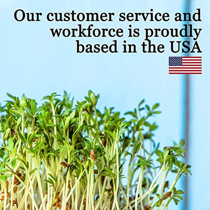 Handy Pantry 10" x 10" Garden Growing Trays with Drain Holes - 5-Pack | Recyclable Plastic Plant Trays for Wheatgrass, Microgreens, Hydroponic Growing, Nursery Flats, Greenhouse Supplies