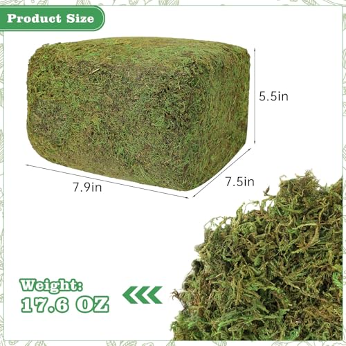 YUNVI 17.6 OZ Large Capacity Artificial Moss for Potted Plants and Crafts | Faux Moss Grass for Indoor Planters Craft Projects Floral Arrangements Decorative Greenery and Hamster Habitats
