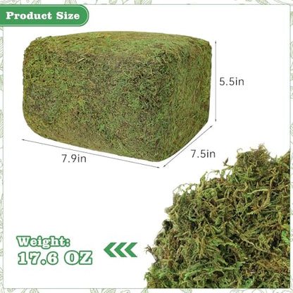 YUNVI 17.6 OZ Large Capacity Artificial Moss for Potted Plants and Crafts | Faux Moss Grass for Indoor Planters Craft Projects Floral Arrangements Decorative Greenery and Hamster Habitats