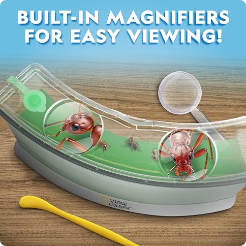 National Geographic Ant Habitat Kit - Light-Up Ant Terrarium with Built-in Magnifiers, Tunnel Starter Tool & More, Ant Activities for Kids, Ant Home, Ant Colony, Ant Habitat, Ant House for Kids - style: Ant Habitat