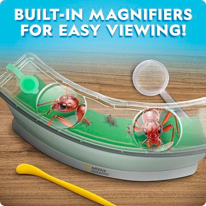 National Geographic Ant Habitat Kit - Light-Up Ant Terrarium with Built-in Magnifiers, Tunnel Starter Tool & More, Ant Activities for Kids, Ant Home, Ant Colony, Ant Habitat, Ant House for Kids - style: Ant Habitat