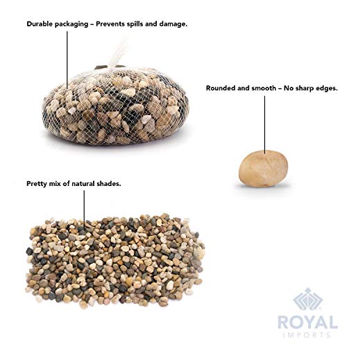 Royal Imports River Rocks, Aquarium Gravel – Natural 1"- 1.5" - 2 lbs | Decorative Ornamental Vase Filler Pebbles for Potted Plants, Terrariums, Vases, Succulents, Fish Tank Gravel, DIY & Crafting - size: 1"- 1.5" - 2 lbs, style: Natural