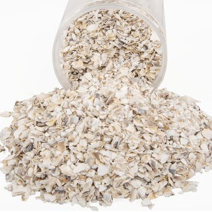 QEQEKAKA Crushed Oyster Shells About 2LB (880g/31OZ) Contains Calcium Small Natural Crushed Shells Bulk