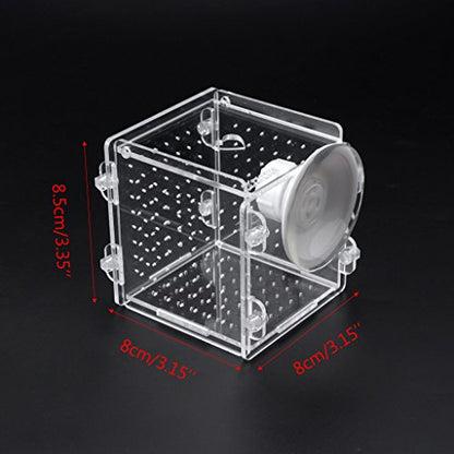Fish Breeding Box Clear Acrylic Fish Isolation Boxes Aquarium Hatchery Incubator with Suction Cup for Newborn Shrimp