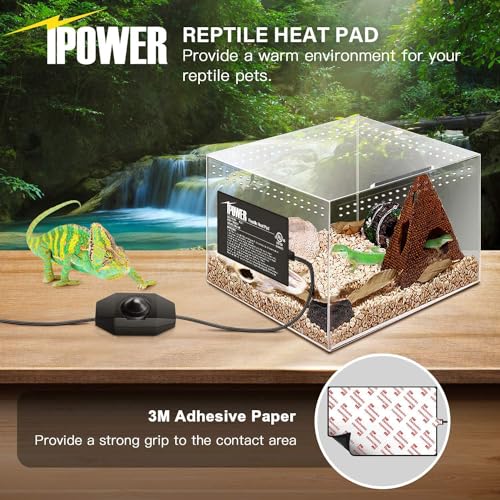 iPower 4 by 7-Inch 4 Watts Reptile Heating Mat with Temperature Controller Under Tank Warmer Terrarium Heat Pad for Reptiles and Amphibians, Black - size: 4" x 7", style: Heat Pad with Adjust Knob