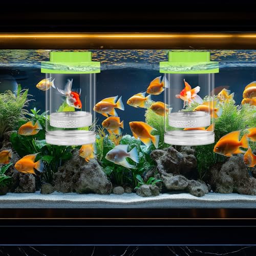 Beeveer 2 Pcs Breeder Box for Fish Tank Aquarium Breeder Separation Net Breeding Box with Suction Cup for Small Fish Shrimp Clownfish Guppy(Green,M)