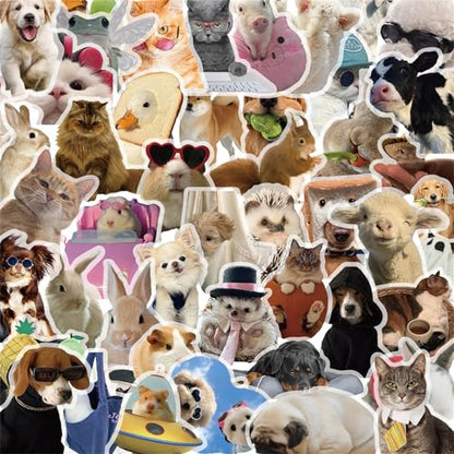 50Pieces Cat Dog Meme Stickers, Funny Animal Transparent PET Sticker Self-Adhesive Scrapbooking Stickers Supplies Journal Stocking Stuffers for Kid Adult Card Making Letters DIY (CDMEME-PET) - color: Cdmeme-pet
