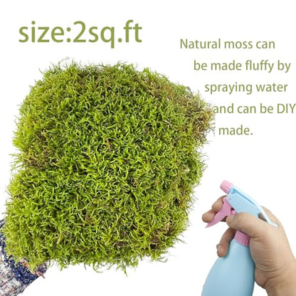 Preserved Moss for Crafts Potted Plants 2 sq.ft. Dried Natural Preserved Moss Mat Green Moss for Planters Crafts Woodland Decor Garden Party Decorations Wall Art DIY Project Green
