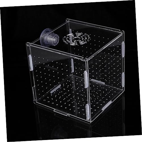 LIOOBO Modern Fish Tank Isolation Box Acrylic Fish Breeding Tank for Betta Guppy Suction Cups and Divider