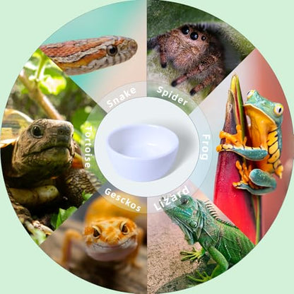 6 Pcs Spider Micro Ceramic Water Bowl, Mini Pet Dish for Spider (1.5 oz) - size: 1.5 oz
