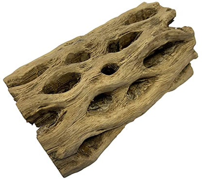 Awesome Aquatic 6 in x 2-3” Thick XL Teddy Bear/Chain Fruit/Buckhorn/Staghorn Cholla Wood Hollow Tube Wood Cactus Skeleton Tubes Thick/Diameter (6 in x 2-3 in Diameter) | XL Hideouts • Hollow tubes • Natural biofilm surface • Secure hideouts • Shrimp plec