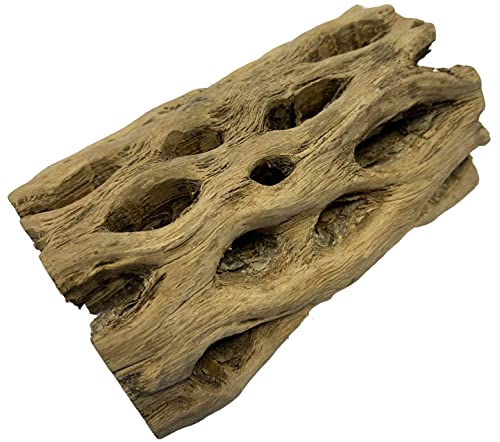 Awesome Aquatic XL Cholla Wood Tubes, Teddy Cane, 6" x up to 2" | XL Hideouts • Hollow tubes • Natural biofilm surface • Secure hideouts • Shrimp plecos hermit crabs reptiles • Natural décor - size: XL 6 in x up to 2 in