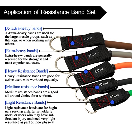 Resistance Bands with Handle Set - for Men and Women, Workout Bands for Strength Exercise, with Handles, Door Anchor & Ankle Straps, for Rehab, Yoga and Fitness