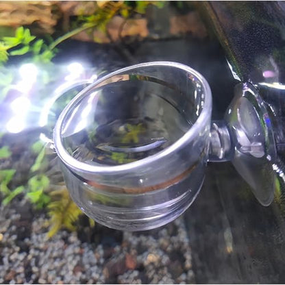 6 Pcs Aquarium Plant Holder Universal Transparent ABS Plastic Fish Tank Plant Holder with Suction Cups for Aquarium Decoration Accessories