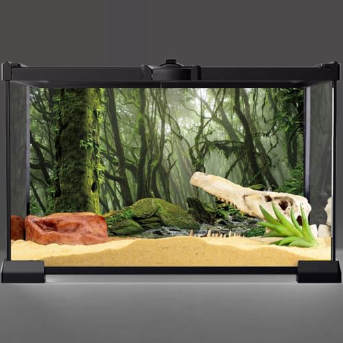 36x24 in Terrarium Backdrop Foggy Forest Stream Reptile Habitat Background | AWERT Tropical Rainforest Green Mossy Huge Tree Aquarium Terrarium Background - size: 36x24in/90x60cm