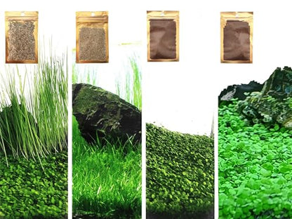 4 in 1 Aquarium Plant S.e.e.ds, no Artificial Plastic Plant, Live Grass for Fish Tank, fit All Substrate (0.36ozTiny+0.36oz Long+0.36oz Short+0.36oz Big Dual) ZQV-003