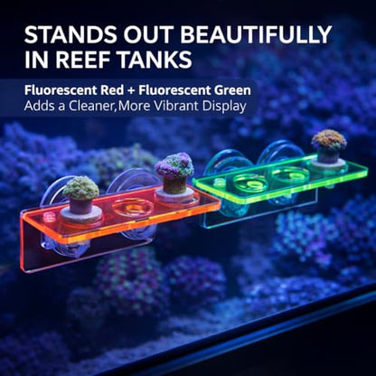 kcrygogo Acrylic Coral Frag Rack with Double Suction Cups, 3 Hole Coral Plug Holder for Reef Tank Aquarium, Fluorescent Green & Fluorescent Red, 2PCS