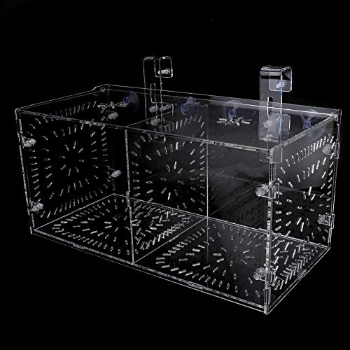 Fydun Fish Isolation Breeding, Box Acrylic Incubator Ing Seedlings Incubation Reproduction Aquarium Ery and Parenting for Aquarium (30CM*15CM*15CM) - size: 30CM*15CM*15CM, style: 30CM*15CM*15CM