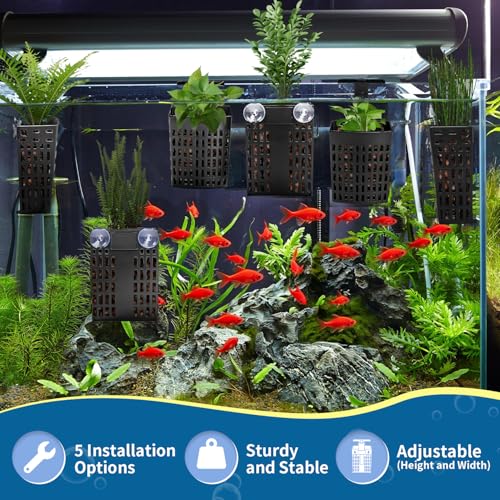 Newly Upgraded Aquarium Plant Holder | Adjustable in Height and Width with Extendable Hook and Suction Cup 4-Pack for Planting Aquatic Plants and Aquariums (Black) - color: Black