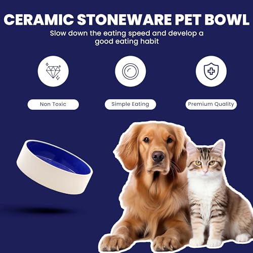 SPOT Ceramic Stoneware- Pet Bowl for Cats, Kittens and Mini Dogs, Classic Heavy Duty Non-Slip Ceramic Bowl for Food and Water -2.75in Diameter - size: 3"