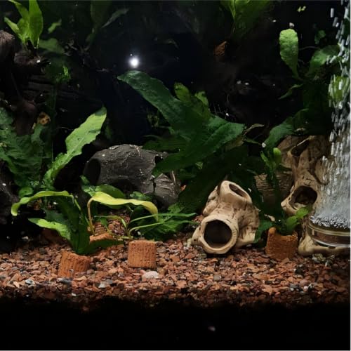 10-Pack 25mm Aquatic Plant Ring Base for Aquarium Pots | water plant holder, fish tank aquascape support, ceramic pot mount fit, plant stem secure clip, diy tank landscape