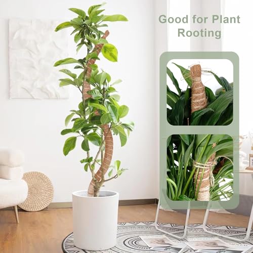 35 Inch Moss Pole for Plants, Bendable Moss Pole for Plants Monstera, Tall Moss Poles for Climbing Plants Indoor, LargeSupport, Garden Trellis Stick Stakes - size: 35 Inch