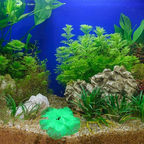 GANAZONO Artificial Aquatic Plant Aquarium Decor Green Silicone Mini Aquatic Plant Fish Tank Ornament for Freshwater Landscaping for Home Aquarium Decoration