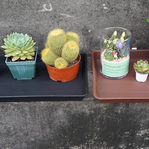 VUWEZ Plant Growing Trays 2 Pack, Plant Tray, 14.5"x11", Heavy Sturdy Plastic Plants Saucer, Seedling Starter Trays, Seed Starter Growing Tray (Black) - color: Black, size: 14.5'' x 11'' x 1.5'' (2 pack)
