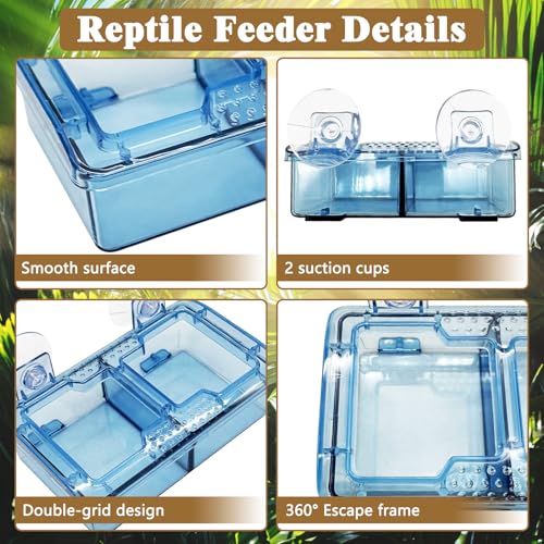 Hamiledyi Transparent Reptile Feeder with Suction Cup Separated Double Compartments Chameleon Bowl Gecko Live Worm Feeder Anti-Escape Reptile Supplies for Lizard Bearded Dragon (Blue, 2 Pcs) - color: Blue