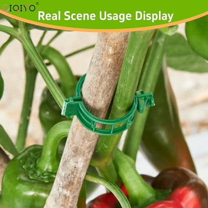 CIQIYO® 100 Pcs Plant Support Clips,Plastic Clips for Securing Plants,Tomato Vine Clips,Plant Fixing Clips,Garden Clips for Climbing Plants,Grape and Vine Vegetables (100, Green) - color: Green