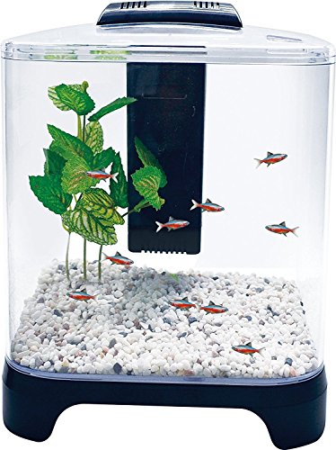 PENN-PLAX NuWave Betta Fish Tank Kit with LED Light and Internal Filter – Black – 1.5 Gallon - color: Black, size: 1 Chamber