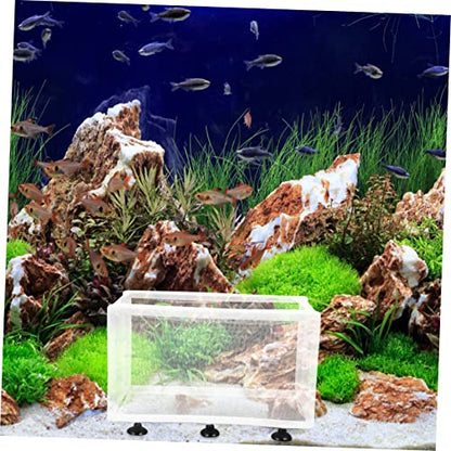 BESPORTBLE 2pcs Fish Breeding Isolation Box Cups Convenient Mesh Structure for Healthy Aquarium Separation Suitable for Fish and Shrimp