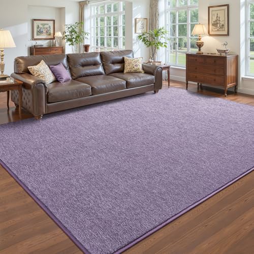 Pettop 4x6 Light Purple Area Rugs for Living Room Bedroom, Thickened Memory-Foam Throw Carpet, Modern Minimalist Super Soft Kids Boys Girls Rug, Non-Slip and Washable Carpets for Dorm Home Decor - color: Purple-white, size: 4' X 6' (Rectangular)