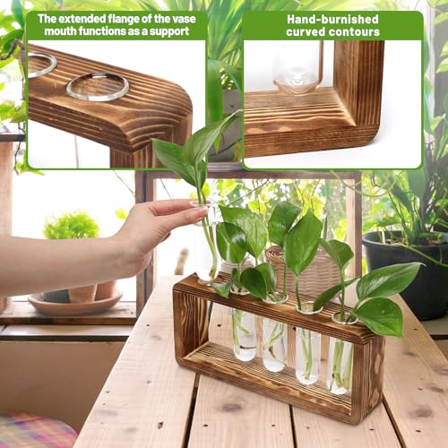 Glass Plant Propagation Station with 5 Test Tubes Planter Vase with Wooden | Stand Birthday Gifts for Women Mom Plant Lovers